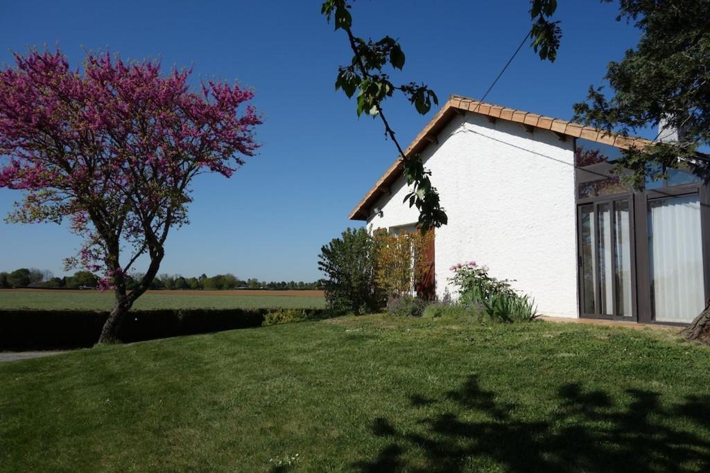 A Proximite Du Futuroscope Et Des Marais Poitevin Villa Rouille Eksteriør bilde